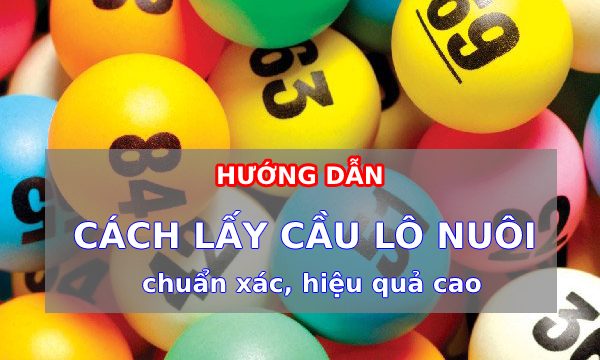 Hướng dẫn cách lấy cầu lô chuẩn xác, hiệu quả